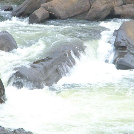 Adventure Base Camp Hotel คิตุลกาลา ภายนอก รูปภาพ