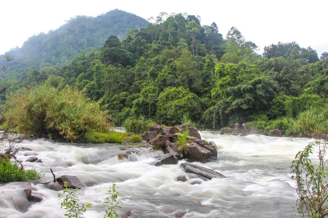 Adventure Base Camp Hotel คิตุลกาลา ภายนอก รูปภาพ
